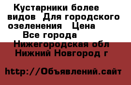 Кустарники более 100 видов. Для городского озеленения › Цена ­ 70 - Все города  »    . Нижегородская обл.,Нижний Новгород г.